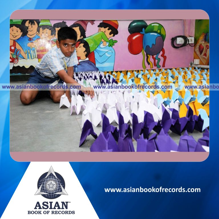 Highest Number of Origami Models made by a Minor (Male) in 6 Hours