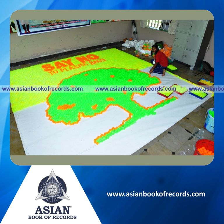 Largest Plastic Ball Mosaic by a Minor (Female)
