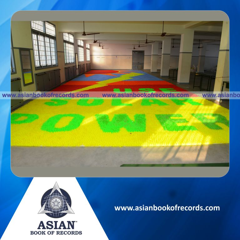 Largest Plastic Ball Mosaic by a Minor (Female)