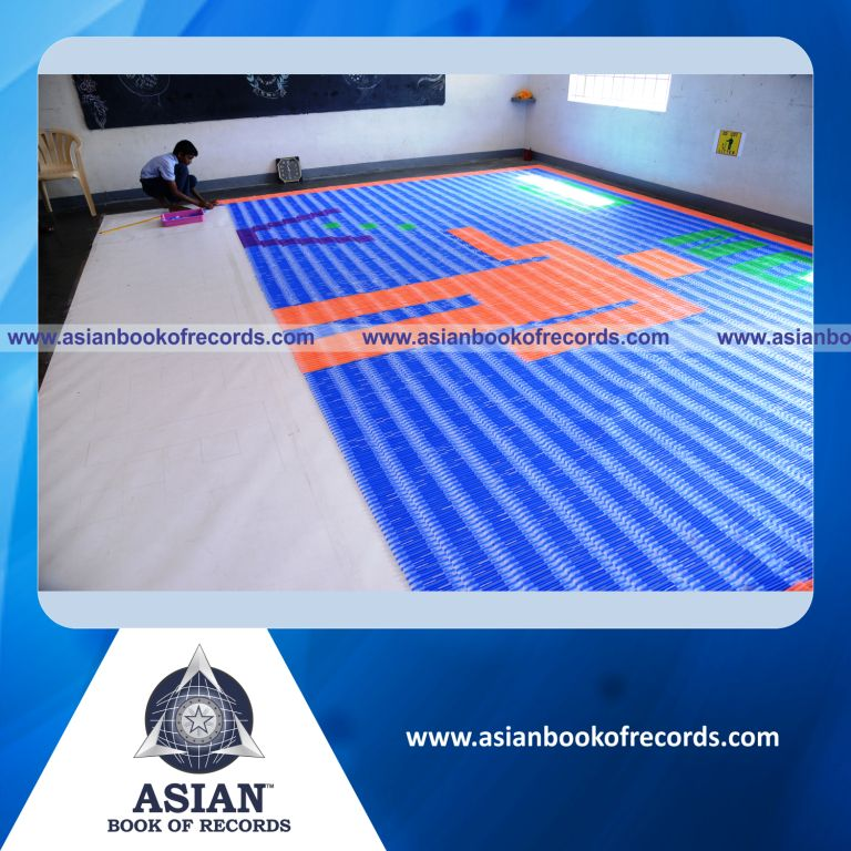 Largest Pen Mosaic by a Minor (Male)