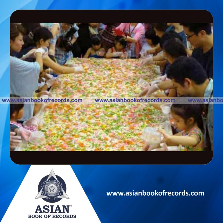 Largest Chirashi Zushi