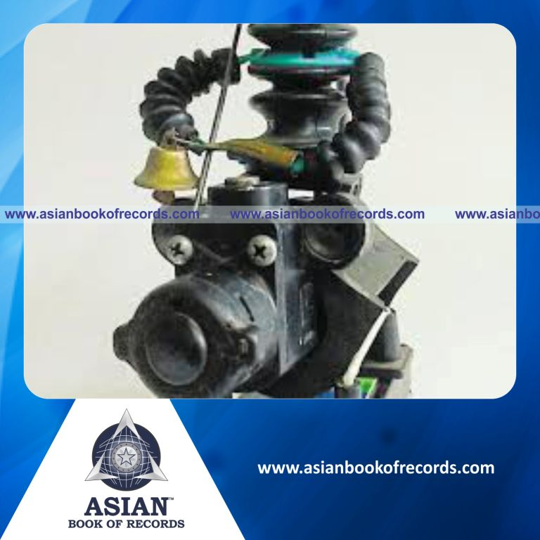 Highest Number of Miniature Models made with Waste Materials by an Individual (Male)