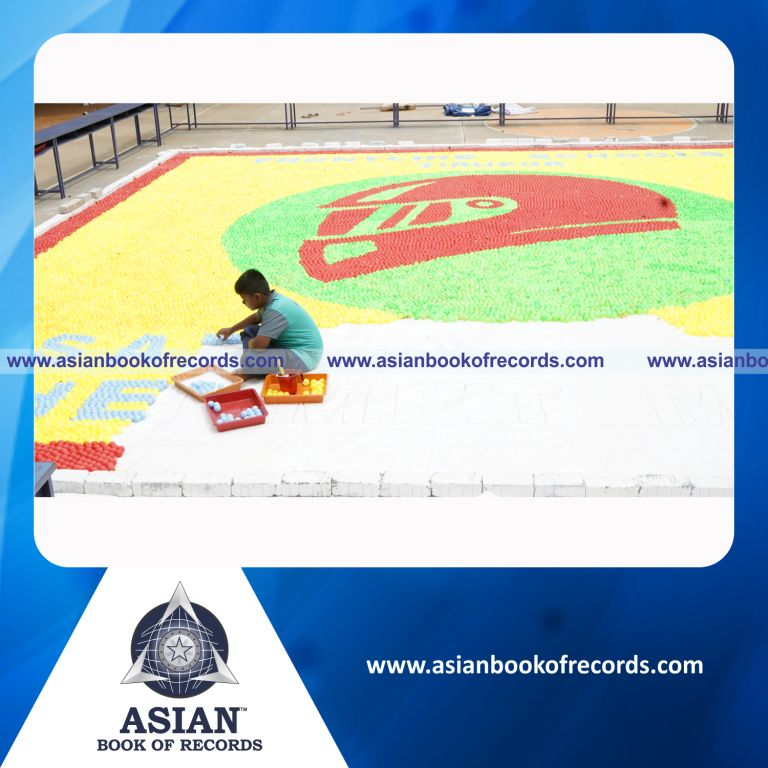 Largest Plastic Balls Mosaic by an Individual (Minor-Male)
