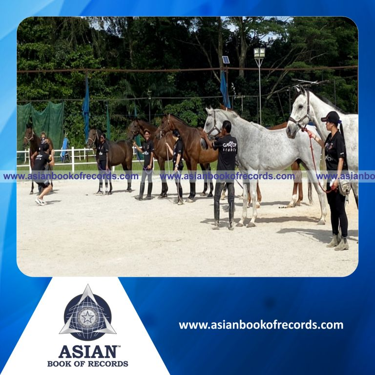 Largest Horse Feed Cake