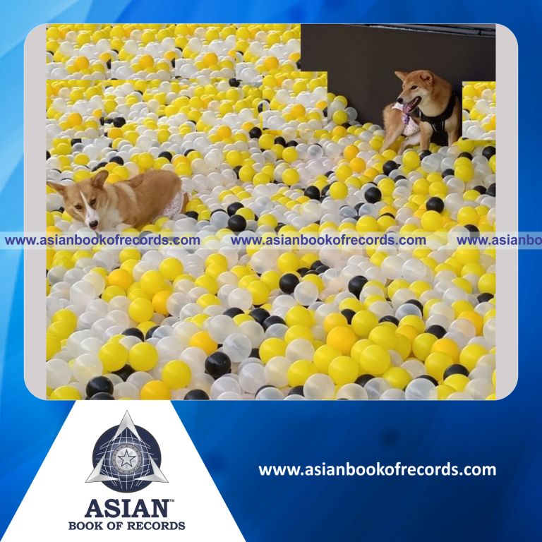 Highest Number of Pets Participating in a Ball Pit